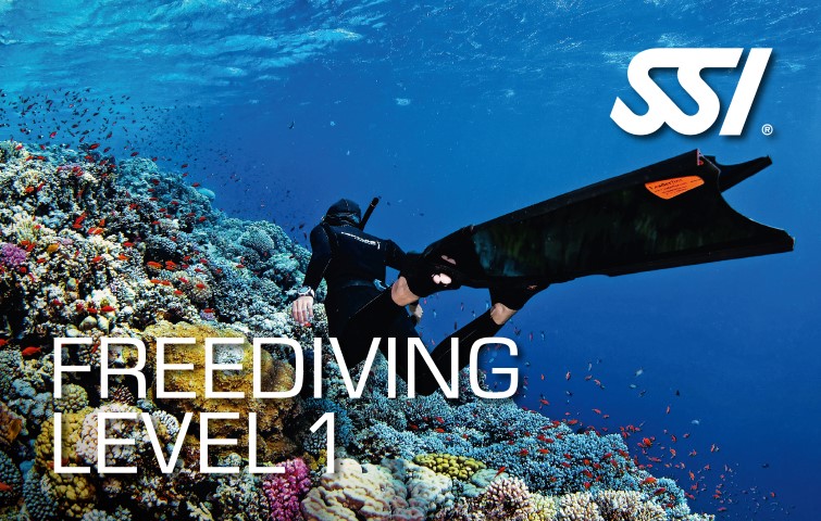 SSI Freediving Level 1 SSI 自由潛水一級