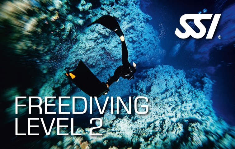 SSI Freediving Level 2 SSI 自由潛水二級