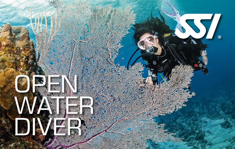 SSI Open Water Diver SSI 開放水域潛水員